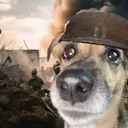 FinnyWorld