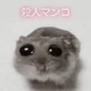 ✌(՞ةڼ◔)✌