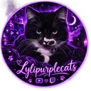 Serveur de lyli