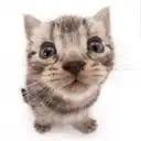 Chill small discord Discord server icon