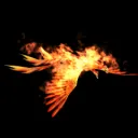 Burning Phoenix 🐦🔥