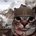 [NU] {NTG} Thunderleaf’s Army Hideout Discord server icon