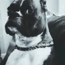 hi