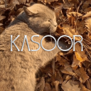 Discovery icon for 𐙚 Kasoor . Discord server