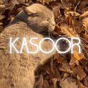 Discovery icon for 𐙚 Kasoor . Discord server