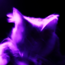 kíttєn cαrtєl ♡ Discord server icon