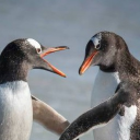 Come Yap with Us Discord server icon