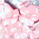 ˎ✦ˎ𓂃 𝐶𝒉𝑒𝑟𝑟𝑦 𝑆𝒉𝑎𝑑𝑒 🌸𓂃✿.ᐟ.ᐟ