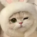 ᴇʟ ʀɪɴᴄᴏɴᴄɪᴛᴏ ᴅᴇ ʟᴀʟɪ