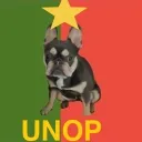 United Nation Of Pugtugal (UNOP)