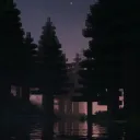 Playing Together 🌲