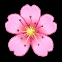 🌸• Flower