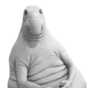 Восточная Монархия Черемшетия discord icon