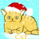 🧎🧎♂🧎♀🙏♡𝕮𝕬𝕿 ℭ𝔒𝔐𝔐𝔘𝔑ℑ𝔗𝔜♡🧎🧎♂🧎♀🙏