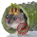 The Haus of Maus