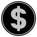 Paid Surveys