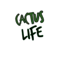 Cactus Life