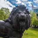 The Hench Lion Club