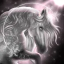 𝐅𝐋𝐎𝐖𝐄𝐑 𝐖𝐈𝐓𝐂𝐇𝐄𝐒 𝐎𝐒