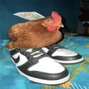 BawkBawk Productions