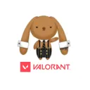 パレクルVALORANT部門