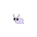 Toca da Dona Lebre🐰