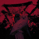 Discovery icon for s𝖊𝖎♱𝖆 #2K Discord server