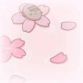 𑣲₊      ѕнιуυηη   ྀིྀི