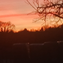 producers Discord server icon