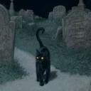 Witches Graveyard’ 𖤐 Discord server icon