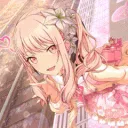 /𝒹olli𝒶  ﹺﹺ  ⑅