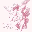 🩷 Birds 사냥꾼?
