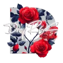 DropR6S Studio