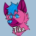 Tika's Cardboard Box