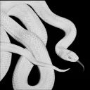 Server icon