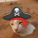 Catsu's Cove