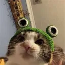 Жабя ленд
