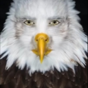 uh mental hospital Discord server icon