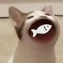 Cat Fischers🎣's icon