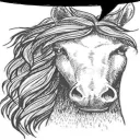 omniscient complainer's viewpoint