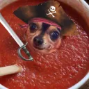 Pies w Zupie™