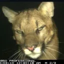 𝐇𝐚𝐛𝐢𝐛𝐢  𝐇𝐮𝐛