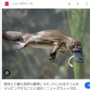 マジロの泉