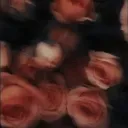 𝘿𝙀𝙎𝙋𝘼𝙍𝘾𝙃𝘼𝘿𝙊𝙎.𝙘𝙨