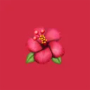 Passion Isle🌺🔞's icon