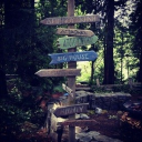 camp half-blood (BETA) Discord server icon