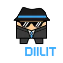 CSDIILIT.COM