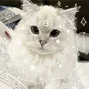 𝑻𝑯𝑬 𝑺𝑪𝑨𝑹𝑳𝑬𝑻 𝑯𝑶𝑹𝑰𝒁𝑶𝑵