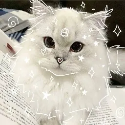 𝑻𝑯𝑬 𝑺𝑪𝑨𝑹𝑳𝑬𝑻 𝑯𝑶𝑹𝑰𝒁𝑶𝑵 — мониторинг Discord сервера, статистика и рейтинг