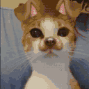 /pawsie Discord server icon